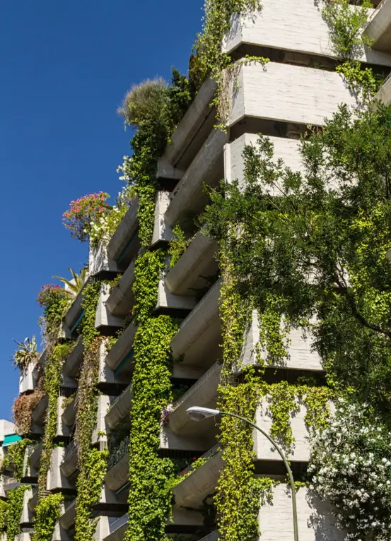 jardim vertical em Curitiba